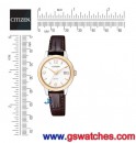 CITIZEN EW2234-12A(公司貨,保固2年):::日本製,Eco-Drive光動能,對錶系列(LADY'S),時尚女錶,藍寶石鏡面,日期顯示,免運費,刷卡或3期零利率,EW223412A