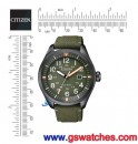 客訂商品,CITIZEN AW5005-21Y(公司貨,保固2年):::Eco-Drive 光動能時尚男錶,日期顯示,10氣壓防水,免運費,刷卡或3期零利率,AW500521Y